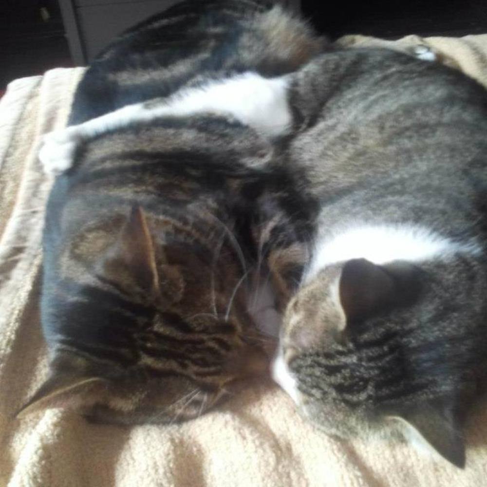 Meet your Posher, Patrice